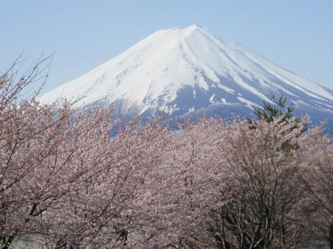 Отель Shuhokaku Kogetsu Фудзикавагутико Экстерьер фото